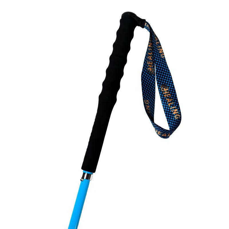Carbon Trekking Poles – Rainbow Design & Foldable